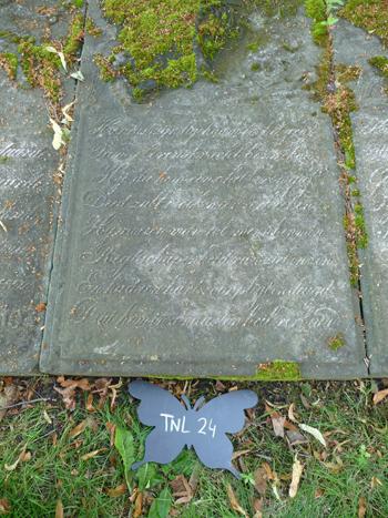 Tinallinge 24 Jan Johannes Frieling